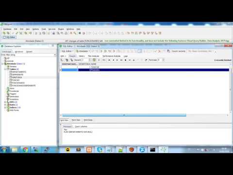 Inserindo Informação no Banco de Dados Firebird  com IBExpert Parte 2