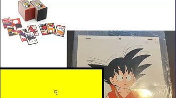 Harvard Project Zero 34 -- What Can Be