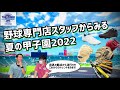 野球専門店スタッフからみる甲子園2022