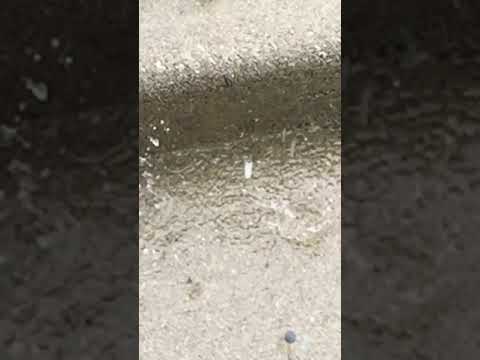 Single Raindrop Sound Effect single raindrop sound effect