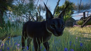 Planet Zoo Episode 13 Wild Woods Zoo - Caracal Habitat Speedbuild