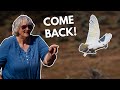 Can You Freeflight Train White Cockatoos?