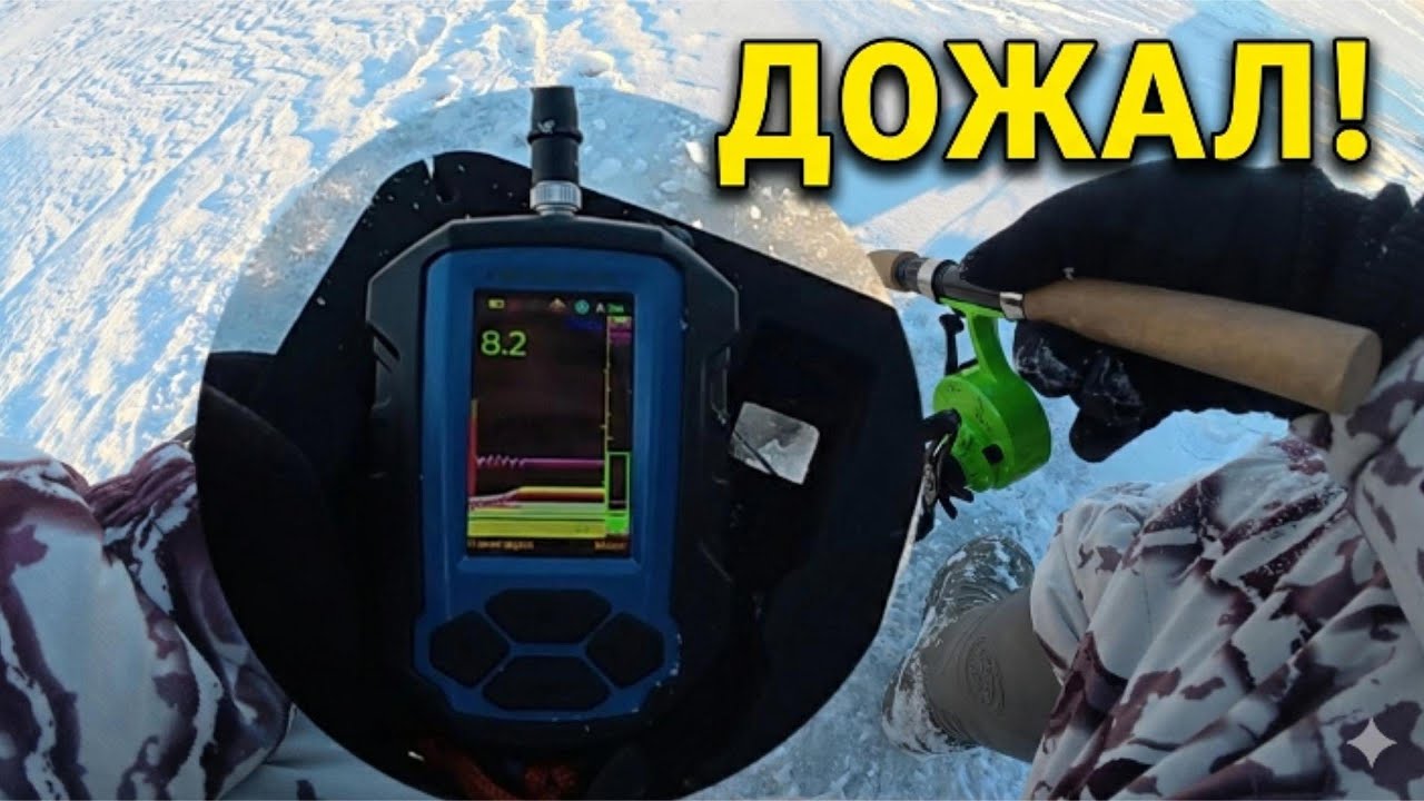 Практик 8: От разочарования к первой рыбе! Судак на вибы и силикон»