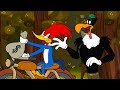 Who Will Win The Prize Money? | Woody Woodpecker