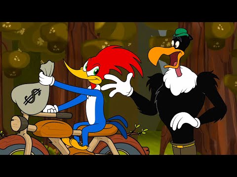 Who Will Win The Prize Money? | Woody Woodpecker