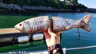 Is a 500$ lure and 800 grams WORTH THE MONEY? Fishing in Japan - ENG CC