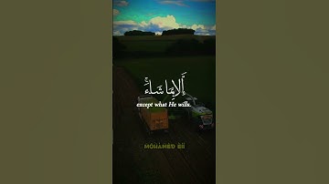 الله لا إله إلا هو الحي القيوم لا تأخذه سنة ولا نوم // ما تيسر من #سورة_البقرة - الآية 255 🎧🎧