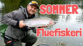 Sommerfluefiskeri Store Tørfluer, Små Nymfer Og Kæmpe Masken Fluer