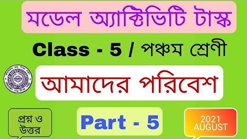 পঞ্চম  শ্রেণী আমাদের পরিবেশ মডেল অ্যাক্টিভিটি টাস্ক । Model Activity Task Amader Poribesh  Part- 5