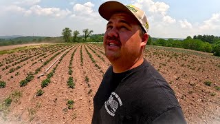 OUR FARM HAS SEEN NOTHING LIKE THIS BEFORE