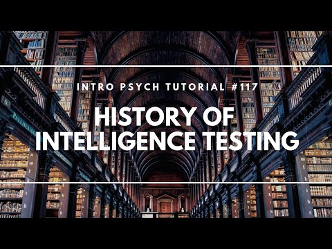 ვიდეო: რა იყო უილიამ სტერნის ძველი IQ ფორმულა?