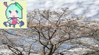 「はじめまして！！！ [VTuber]」のサムネイル