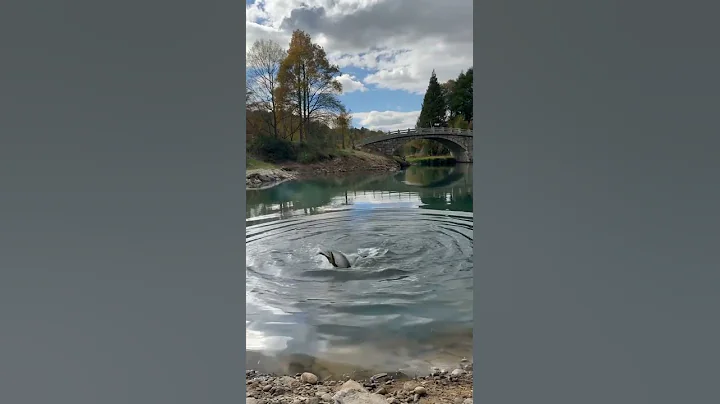 Will THIS Stop You From Drowning?