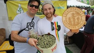Casa Del Loki Presents - I Missed the Cannabis Cup in L.A.