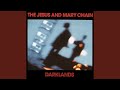 The Jesus And Mary Chain - Darklands