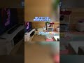 【映画大好き犬！アナ雪2をみています】#犬のいる暮らし #映画#ディズニー#プードル