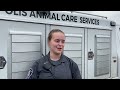 What's it like to be an animal control officer at Indianapolis Animal Care Services?