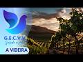 A VIDEIRA (GRUPO ESPÍRITA CAMINHO VERDADE E VIDA  25-02-2026)