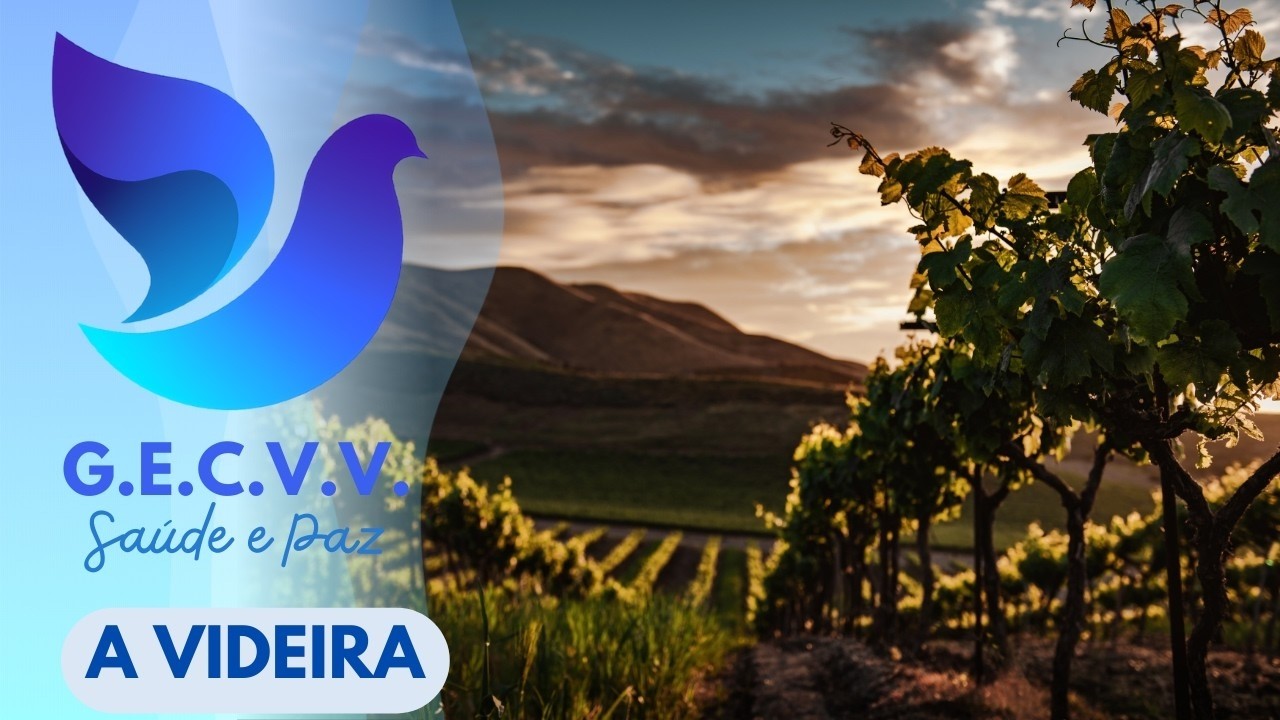 A VIDEIRA (GRUPO ESPÍRITA CAMINHO VERDADE E VIDA  25-02-2026)