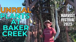 2025 Baker Creek Heirloom Harvest Festival - Highlights You Missed