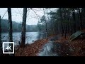 Relaxing Winter Rain Walk Thunderstorm Sounds For Sleep Stress Relief ASMR Relaxing Winter Rain Walk Thunderstorm Sounds For Sleep Stress Relief ASMR