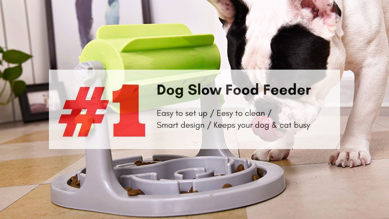 SpeedyPet Interactive Dog & Cat Slow Food Puzzle Feeder – Lilly & Max