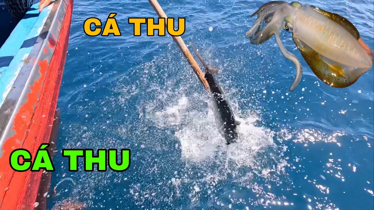 668 ) BỮA CÂU BỘI THU, ỘT RẤT MỪNG, TRÚNG CÁ THU.