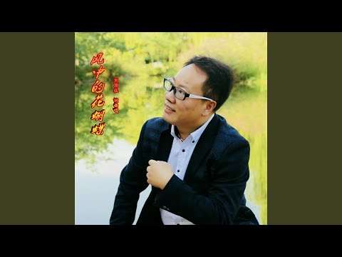 风中的花蝴蝶 (DJ伟然版)