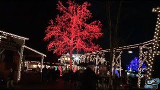 There's Too Many People at Dollywood: Coaster Vlog #175