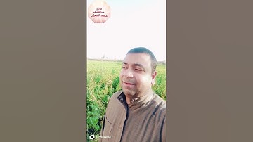 تلاوة روووعة🤔