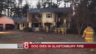 FD 1 dog dead after fire in Glastonbury