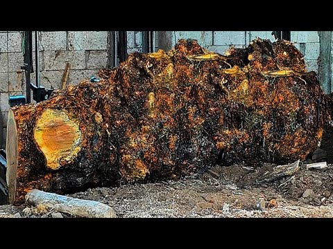 Beautifully Grained Teak Wood Cut at the Sawmill