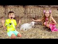 Diana and roma in funny animal stories for kids