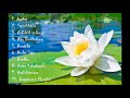 Lagu Buddhis Populer