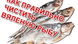 Как правильно чистить вяленую рыбу(Посмотрите здесь способ вяления рыбы http://eda-recepty.com/cooking/4726-vobla-vyalenaya Подписывайтесь на наш канал https://www.youtube.com/..., 2014-07-08T14:42:45.000Z)