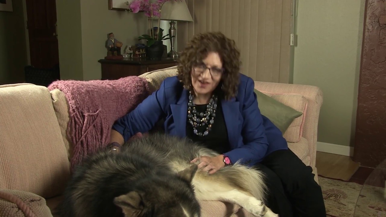 Just a Moment for Marketing: Mocha on Marketing: Watch That Tail Wag