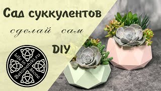 DIY! Сделай сам: Сад суккулентов.