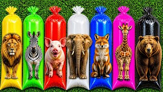 TUNG TUNG TUNG SAHUR!!Kangaroo,Lion,Royal Bengal Tiger,Pig,Elephant,Giant Panda || #04