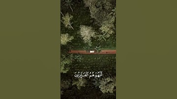 تلاوة هادئة تريح الاعصاب -- قران كريم-- بصوت جميل جدا جدا سبحان من رزقه هذا الصوت *إسلام صبحي *