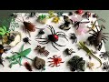 Learn the names of insects and animals.Robotic Crawling Insect from Zuru Robo Alive.
