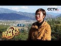 《致富经》流言蜚语中的姑娘 土里挖宝赚大钱 20181224 | CCTV农业