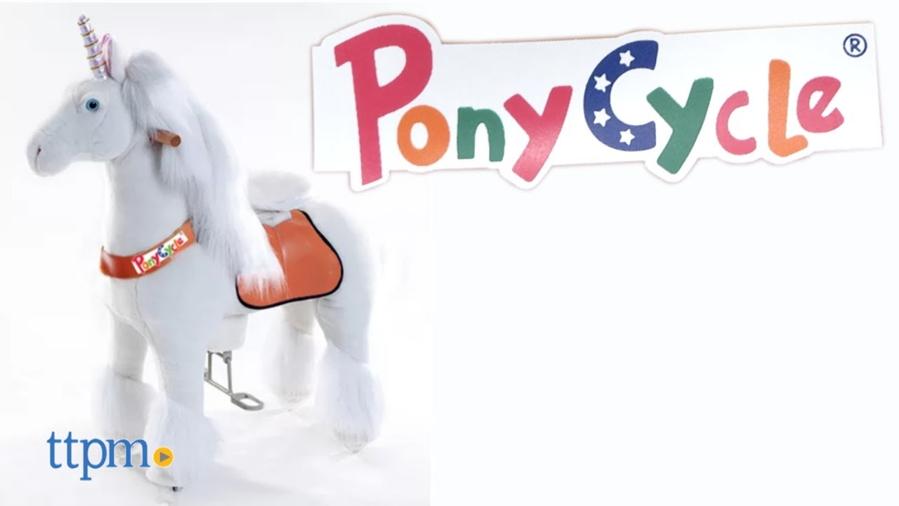 used ponycycle