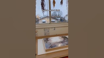 DIY setup for photographing your artwork from above | modeled after a copy stand for DSLR scanning