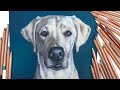 How To Make A PET PORTRAIT (Colored Pencil on LuxArchival)