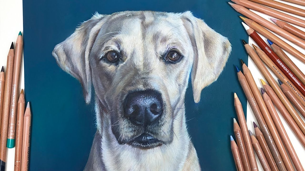 How To: Use Arteza Art Colour Pencils — Pet Portraits by Sema