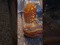 Home Brewed Kombucha!!