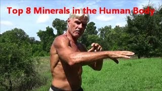 Top 8 Minerals in the Human Body