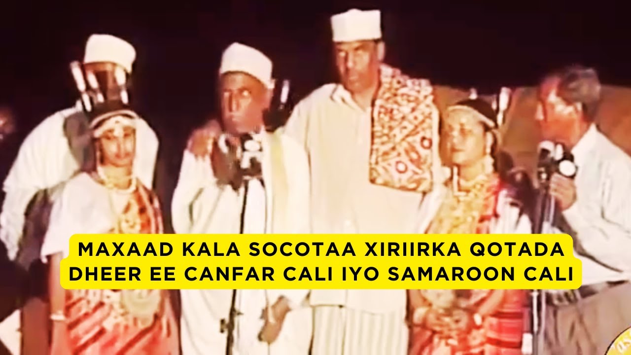 MAXAAD KALA SOCOTAA XIRIIRKA QOTADA DHEER EE KA DHEXEEYA CANFAR CALI & SAMAROON CALI  ZAYLAC-TODJERA