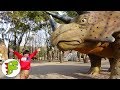 おでかけ 恐竜がたくさんいる公園へ遊びにに行ったよ トイキッズ おでかけ 恐竜がたくさんいる公園へ遊びにに行ったよ トイキッズ