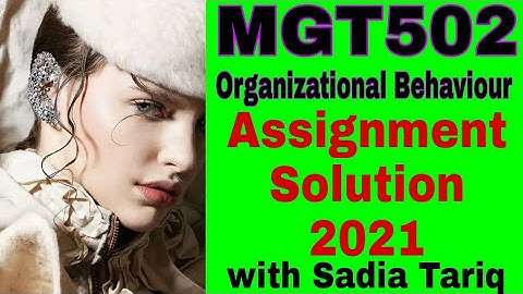 MGT502 Assignment Solution 2021 with Sadia Tariq